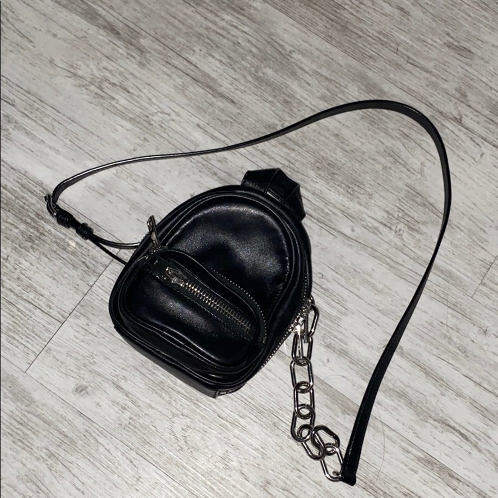 Alexander wang mini bag